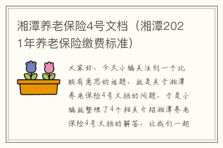 湘潭养老保险4号文档（湘潭2021年养老保险缴费标准）